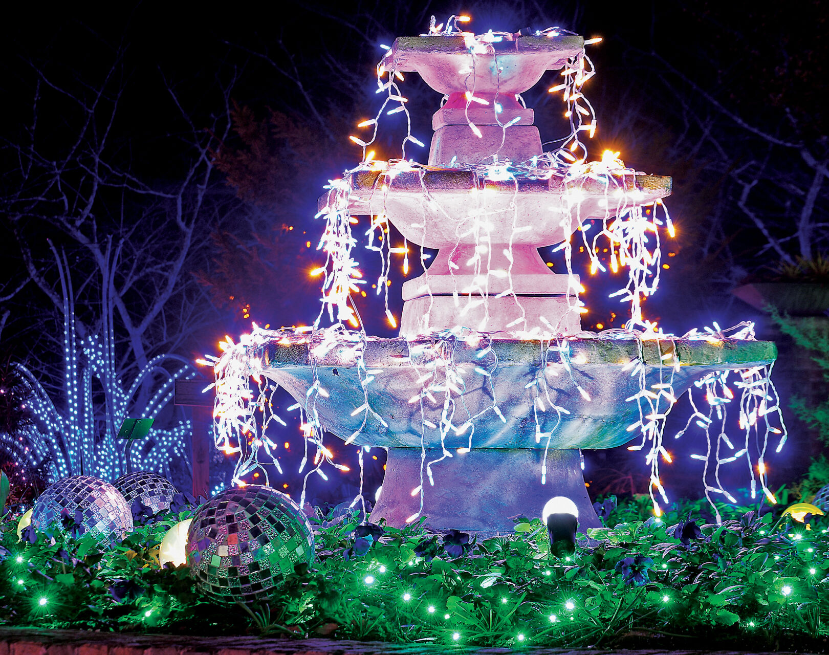 Winter Walk of Light 2020